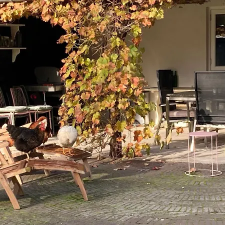 Uniek Bommelgaard, In Het Prachtige Rivierenland! Dom wakacyjny Hurwenen
